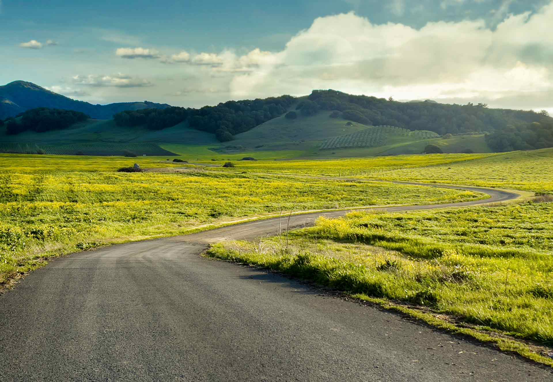 Insights & Financial Guidance | Sonoma Accounting Group Australia